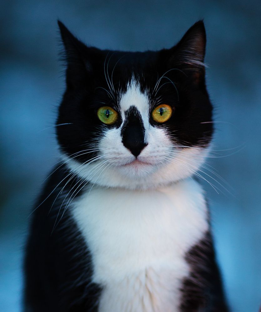 Photograph by Наталия Деркач