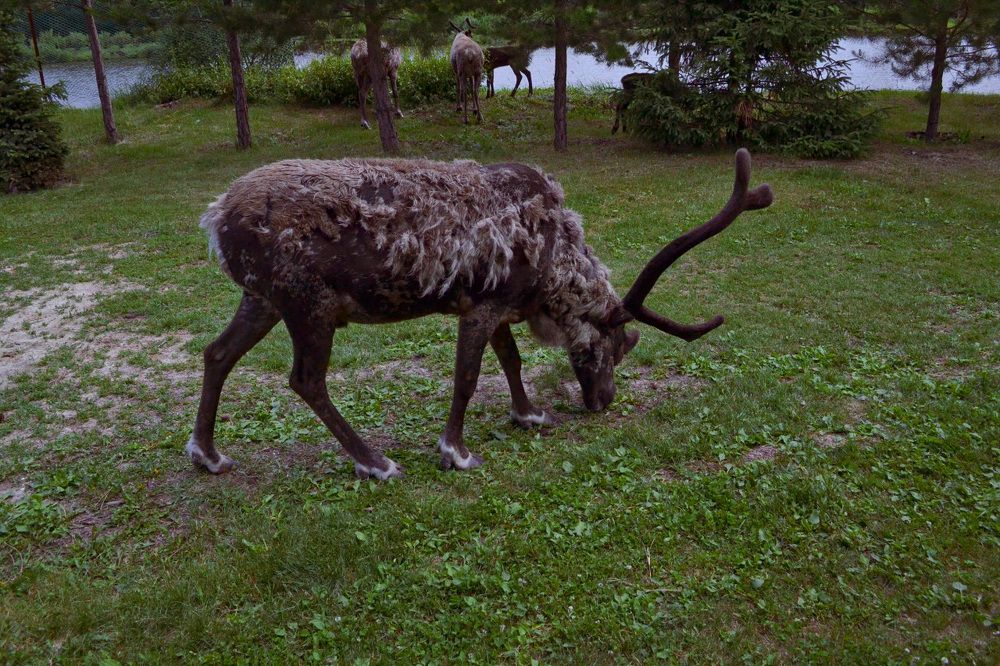 Photograph by Наталья Перерва