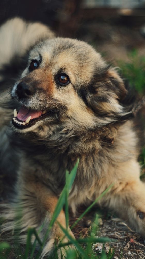 Photograph by Ольга Распопова