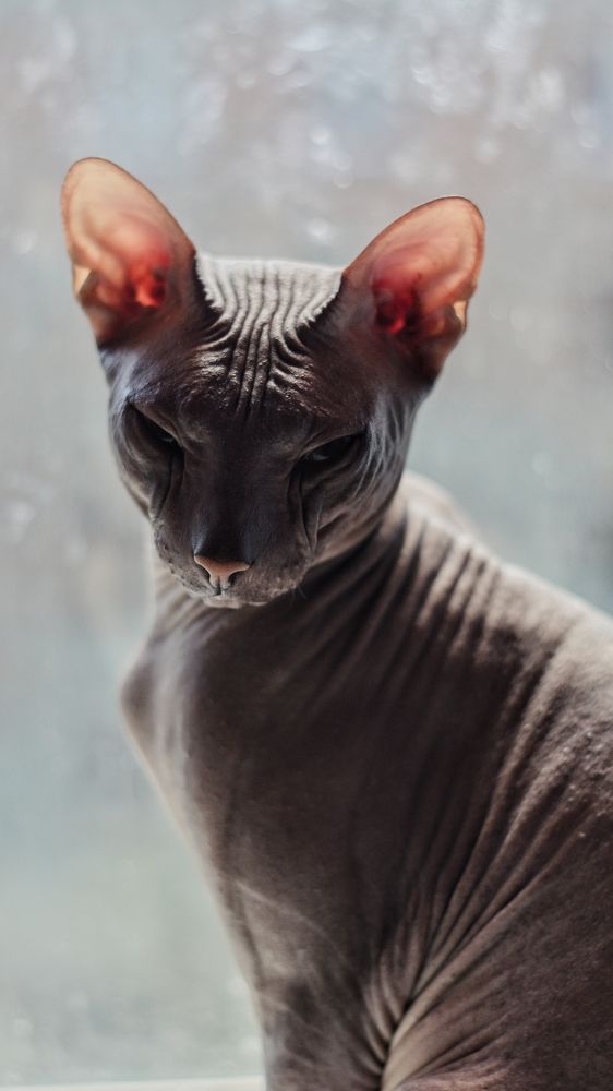 Photograph by Ольга Распопова