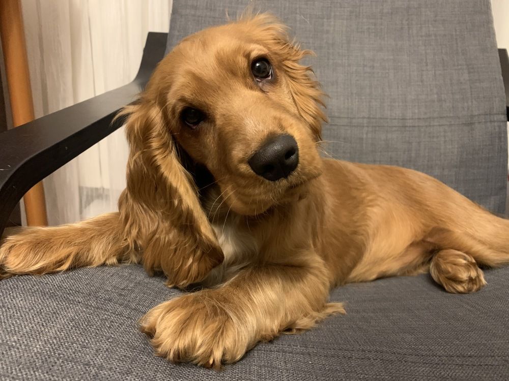 Photograph by Светлана Пономаренко