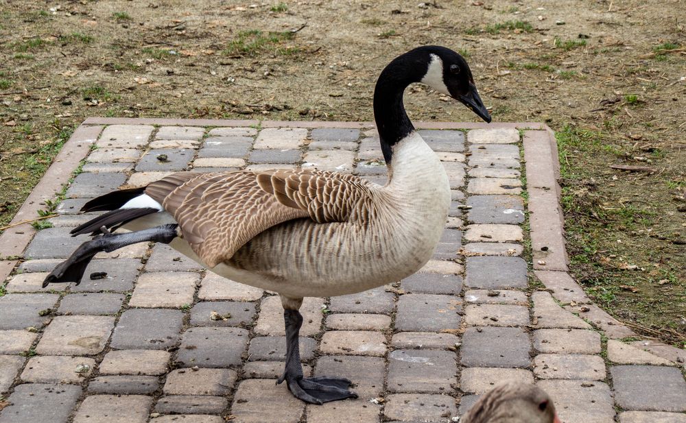 Photograph by Ирина Крепак