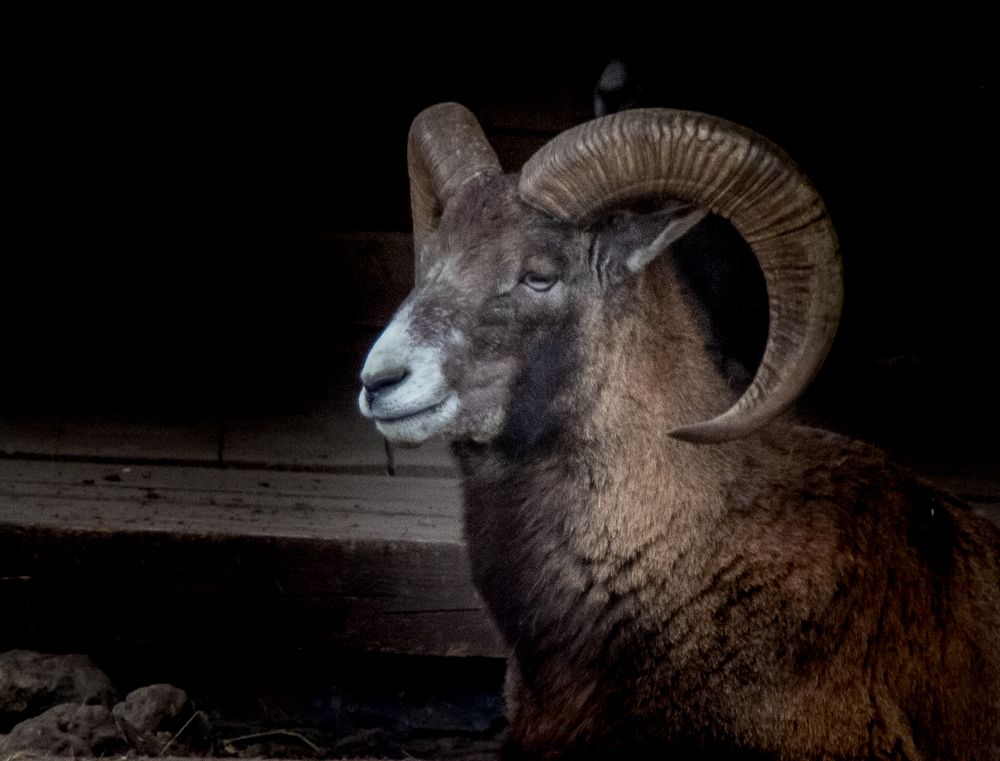 Photograph by Ирина Крепак