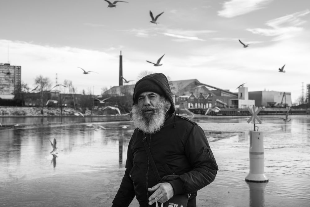 The Man and the Seagulls