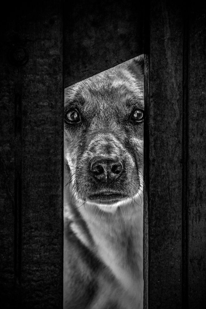 Photograph by Junior Imigrante