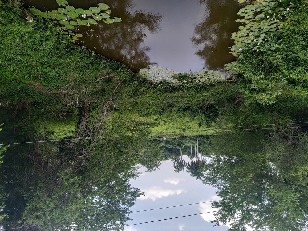 Photograph by Victor Manuel Torno