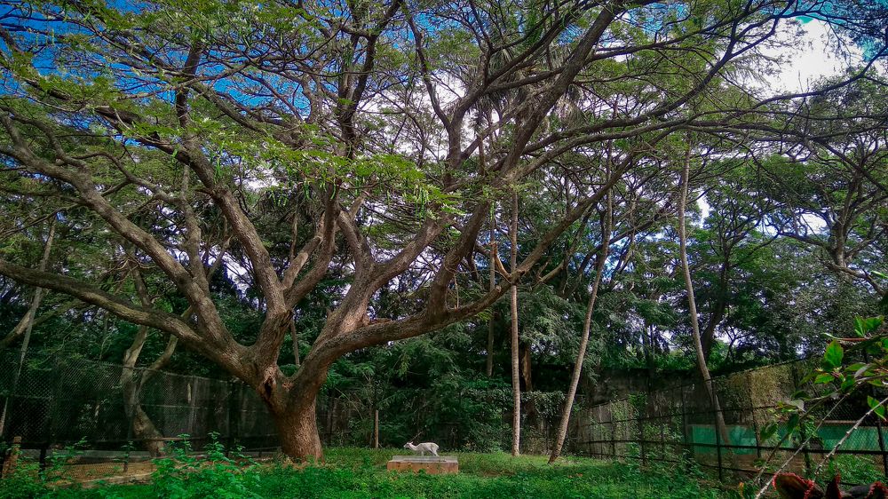 Photograph by Abinesh Kumar R