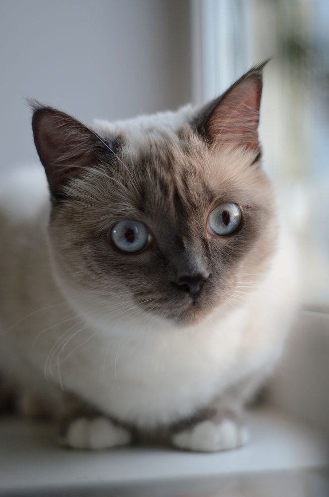 Photograph by Ольга Распопова