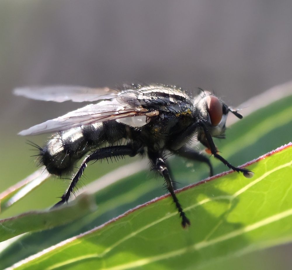 Photograph by Марина Ескова