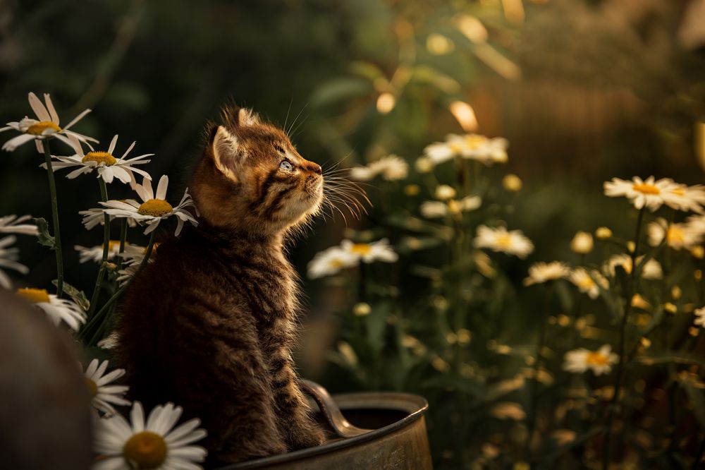 Photograph by Регина Гущина