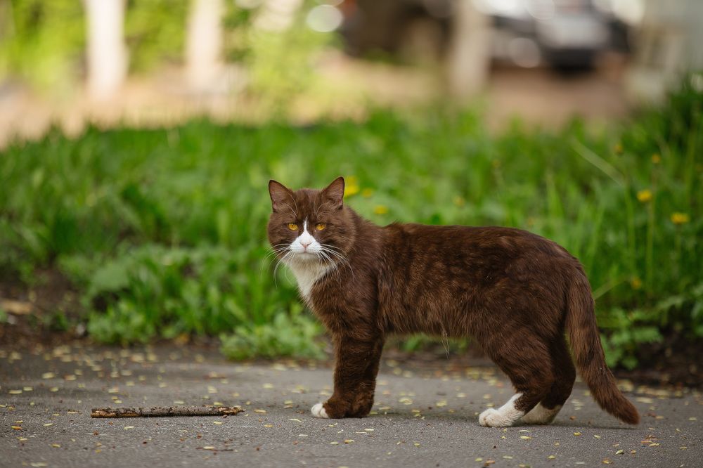 Photograph by Алексей Сулла