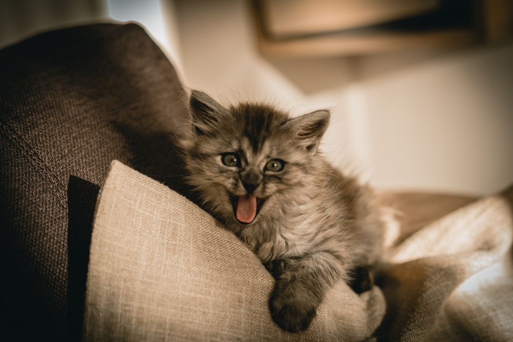 Photograph by Photo Art Marsielo