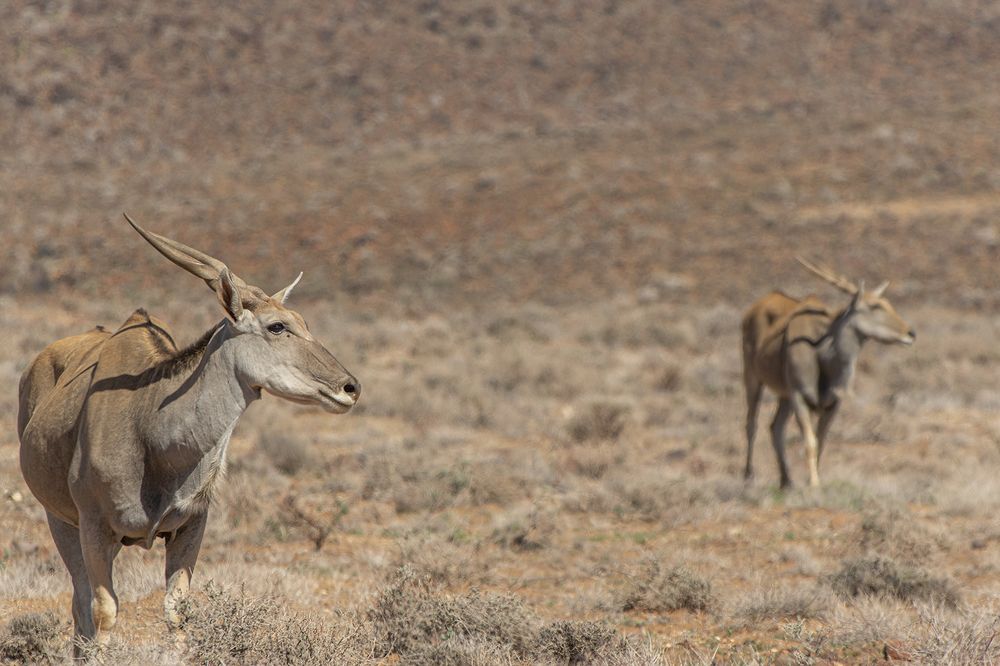 Photograph by Deon Oosthuizen