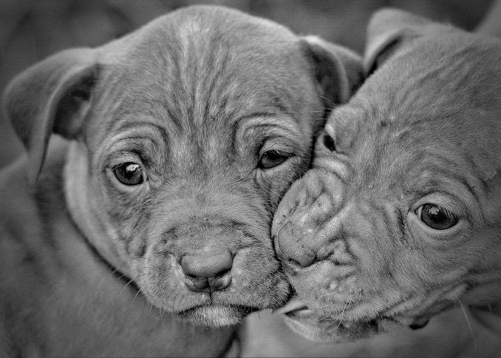 Photograph by Арсен Алабердов