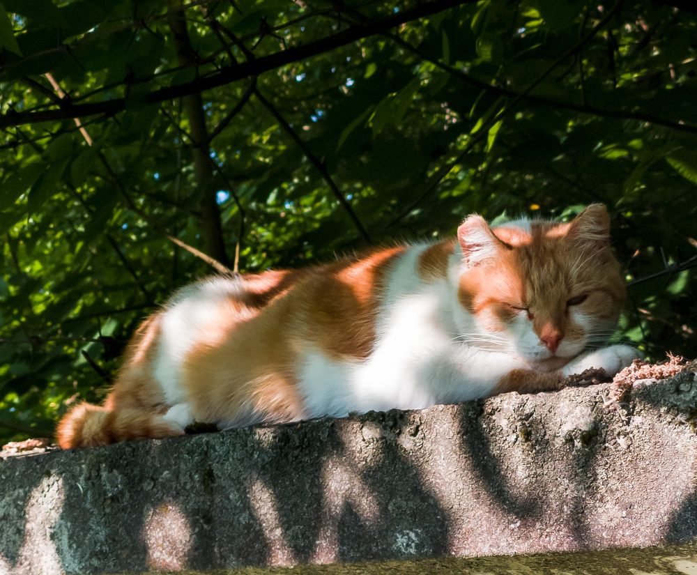 Photograph by Наталия Березина