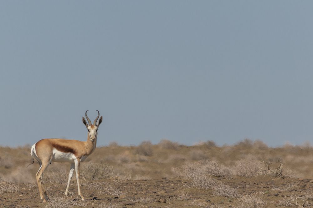 Photograph by Deon Oosthuizen
