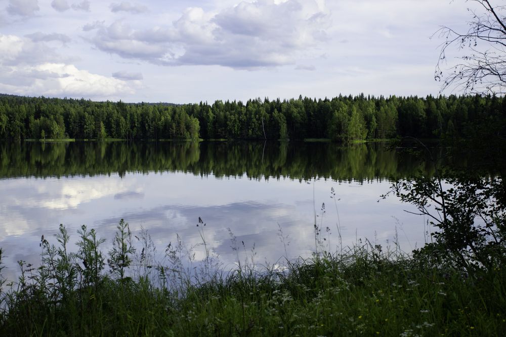 Photograph by Светлана Пономаренко