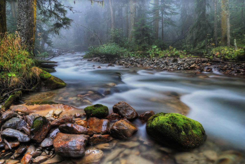 Таинственная река