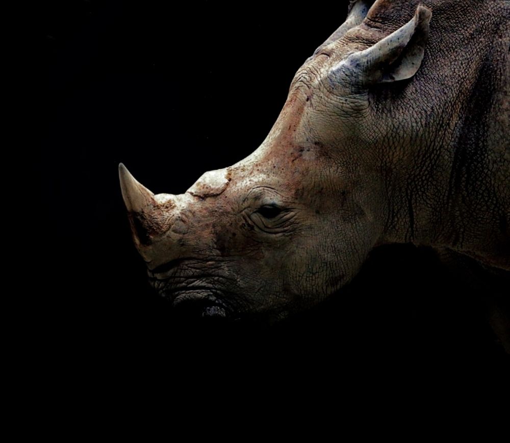 Photograph by Vishal N