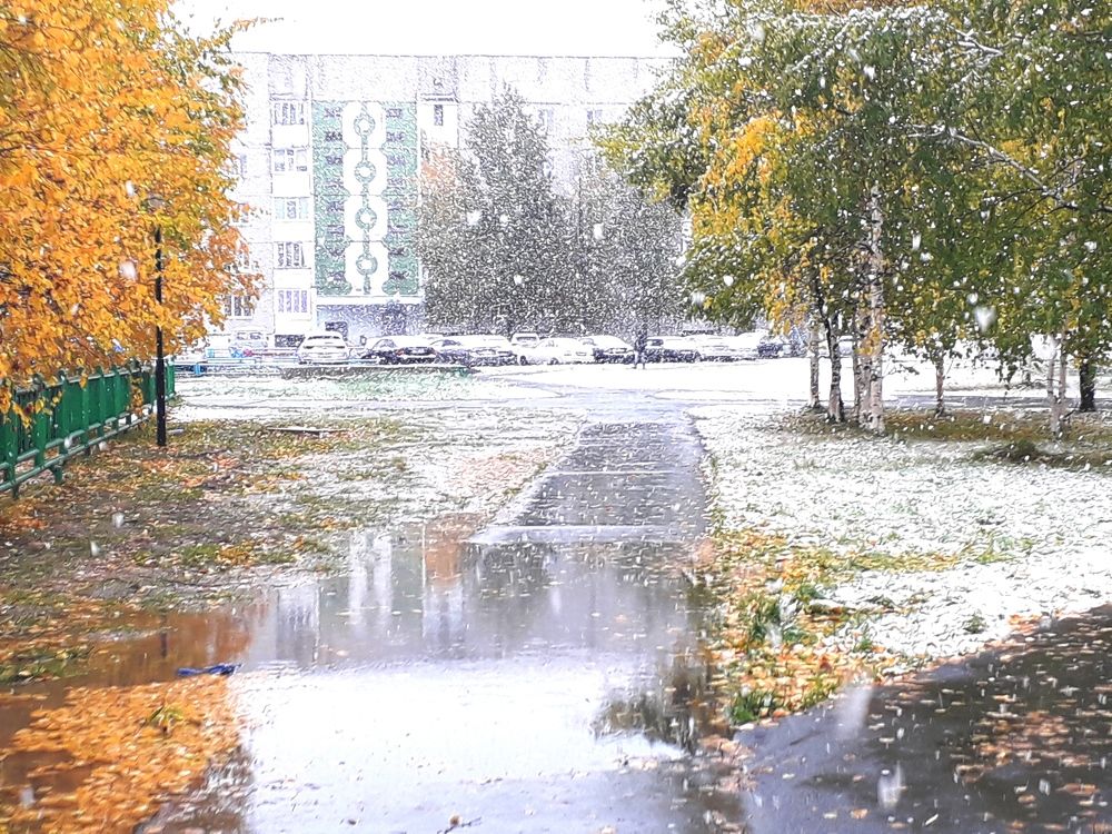 Photograph by Людмила Скочилова