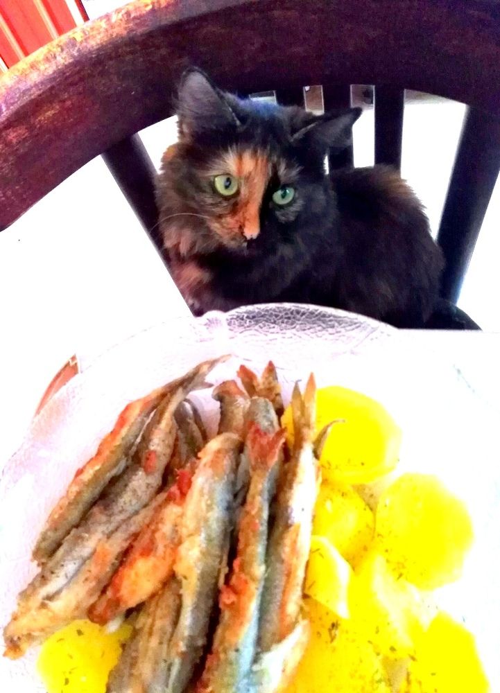 Photograph by Екатерина Новикова