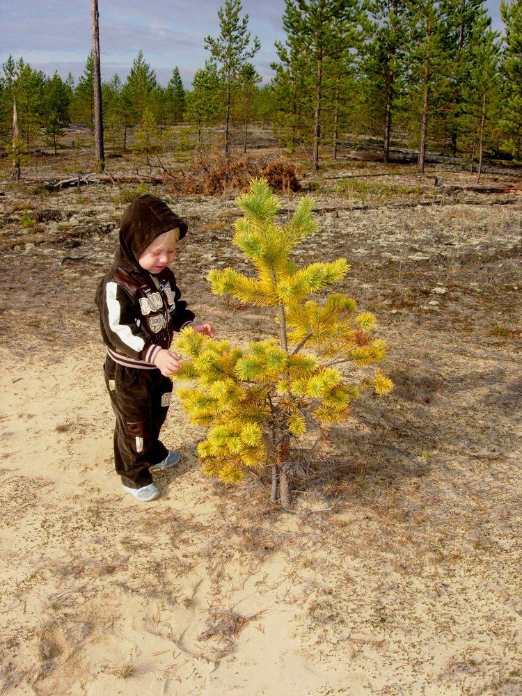 Такая маленькая, а уже жёлтая...