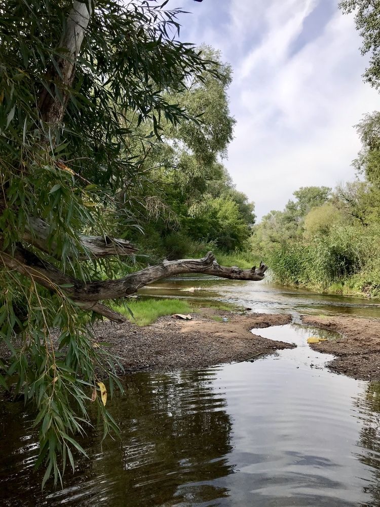 Photograph by Наталья Перерва