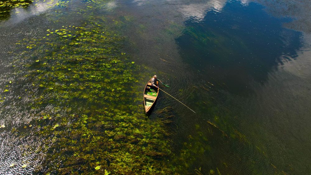 Photograph by Юлия Тельпова