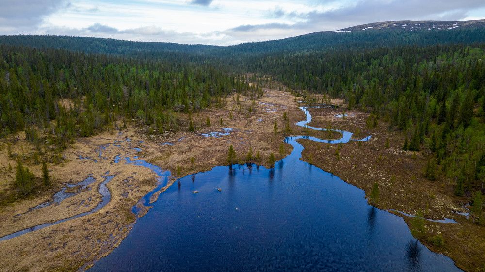 С ручейка начинается река