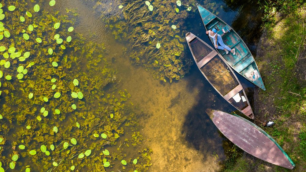 Photograph by Юлия Тельпова