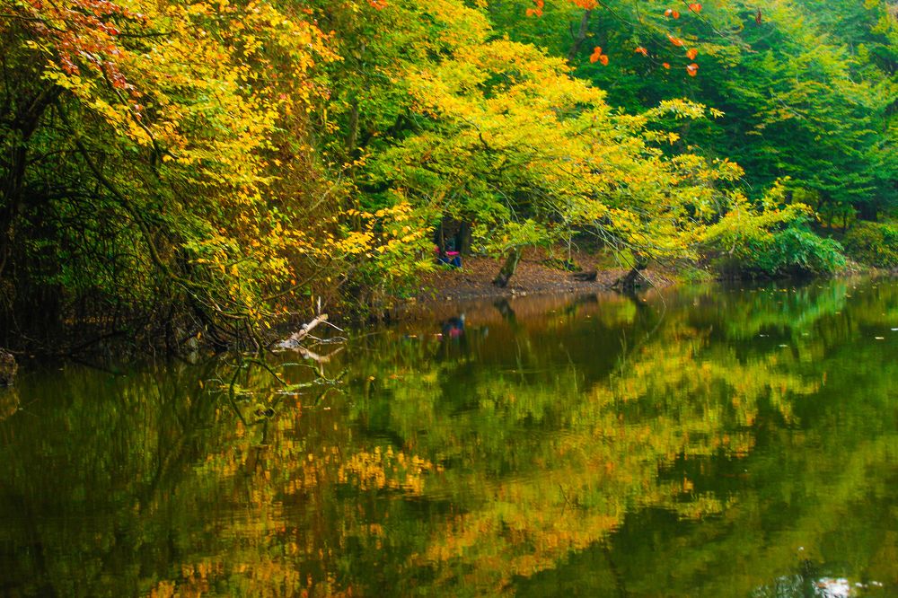 Photograph by Reyhane Ameri Pouya