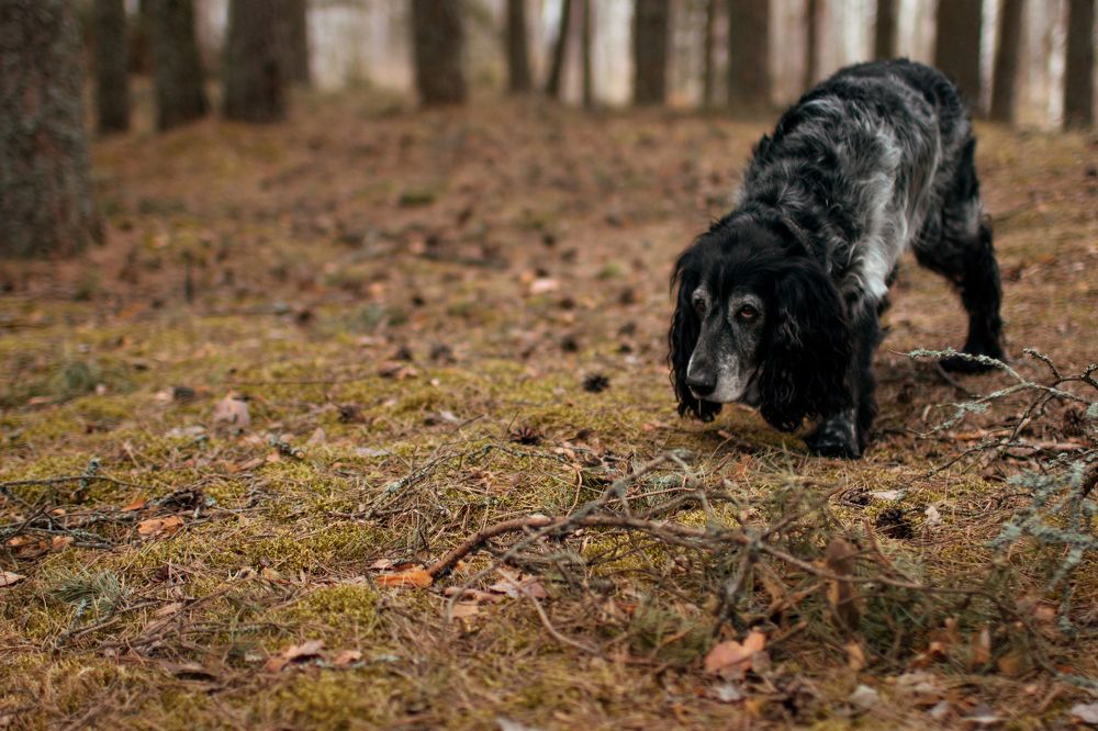 Photograph by Ольга Крестьянинова