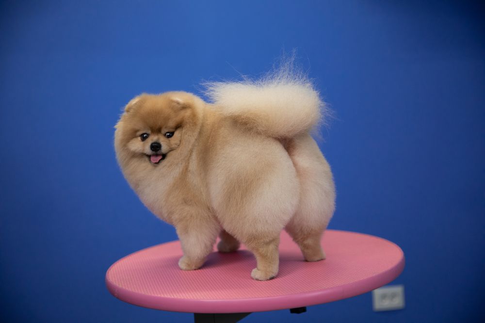 Photograph by Ирина Подгорная