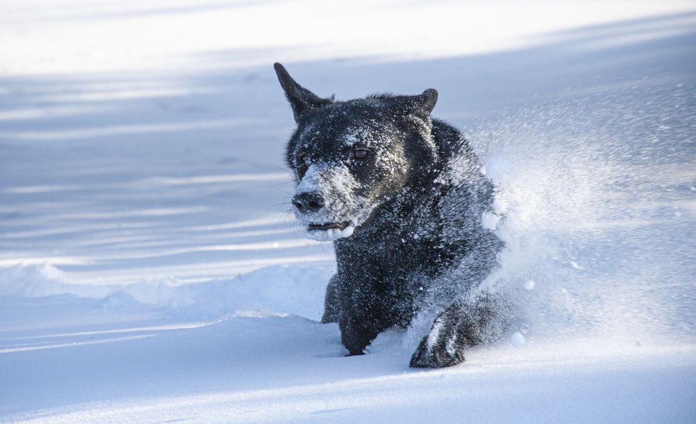 Photograph by Андрей Малыгин