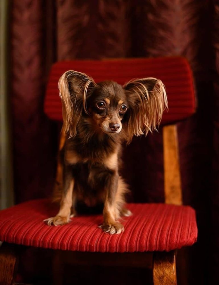 Photograph by Татьяна Катеренюк