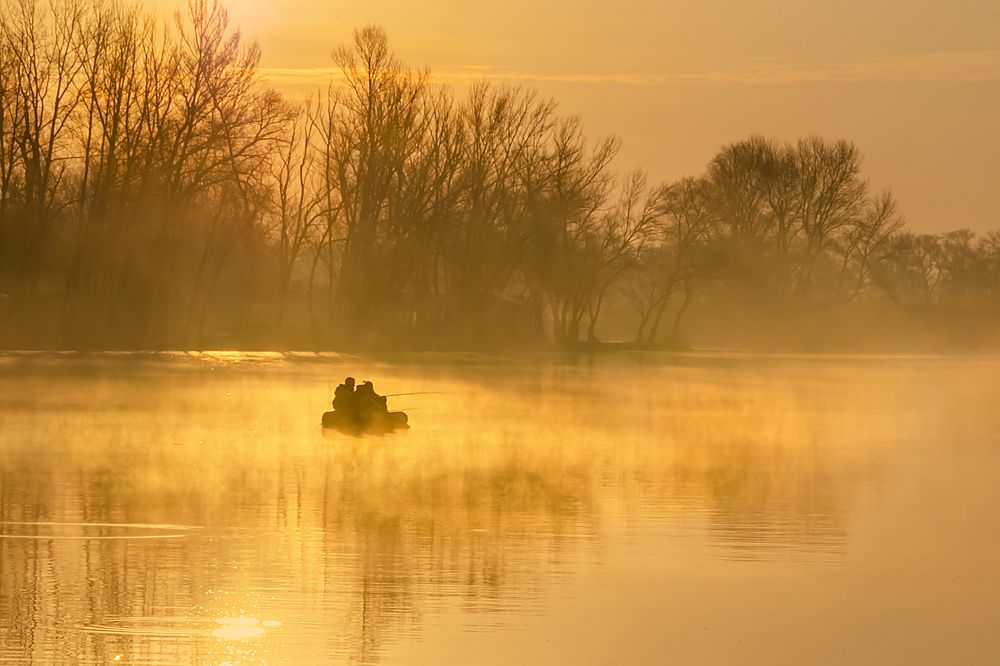 Рыбалка в тумане