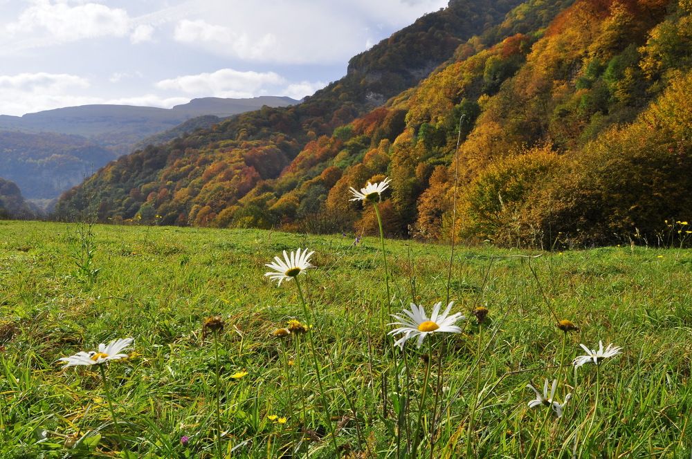 Photograph by Заурбек Шахмурзаев
