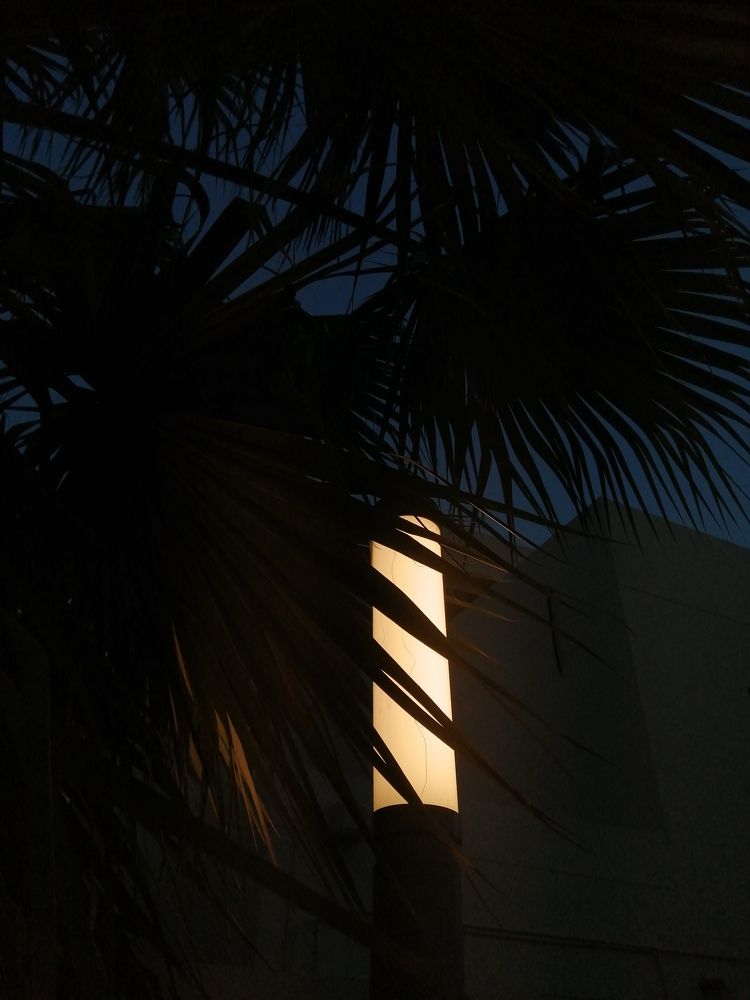 Photograph by falah Ramadan