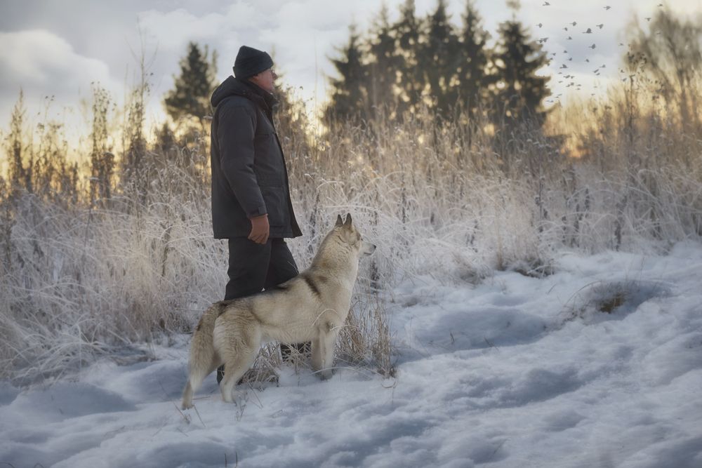 Photograph by Ирина Кленкова