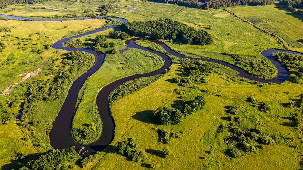 Большая петля