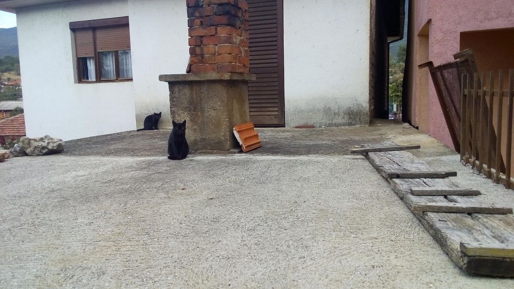 Photograph by Bojan Nikolovski