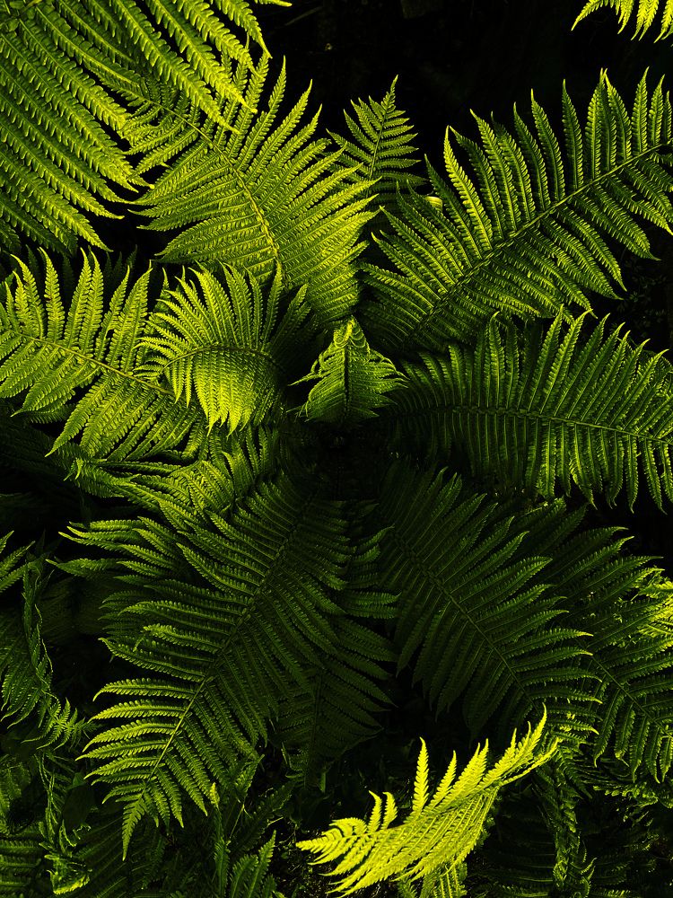 Photograph by Константин Рябченюк