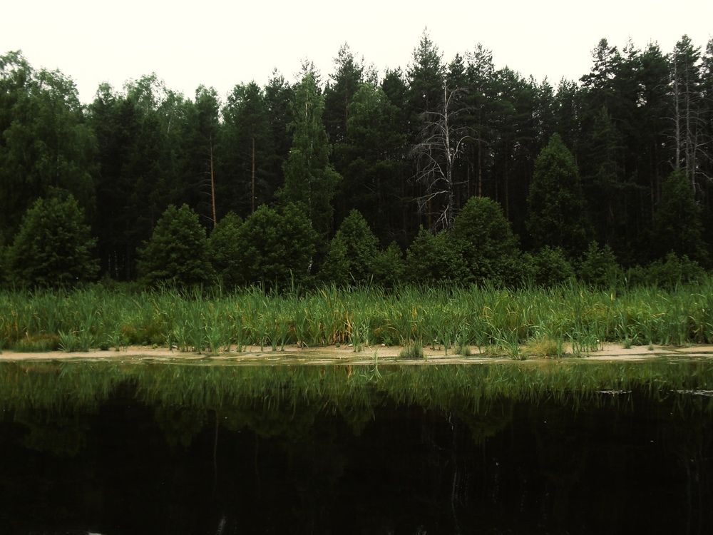 Photograph by Марина Романцова