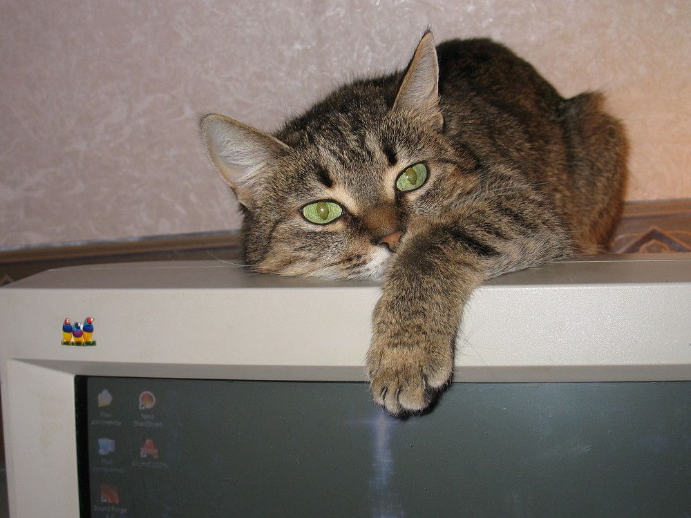 Photograph by Иван Скорик