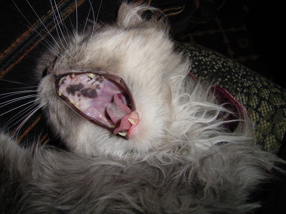 Photograph by Иван Скорик