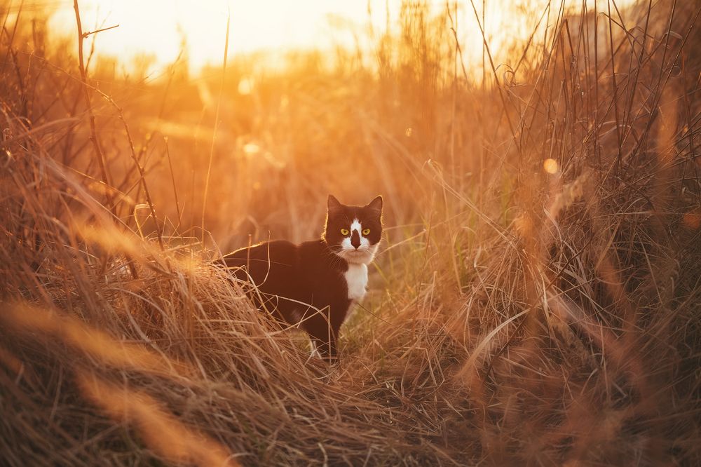 Photograph by Наталия Деркач