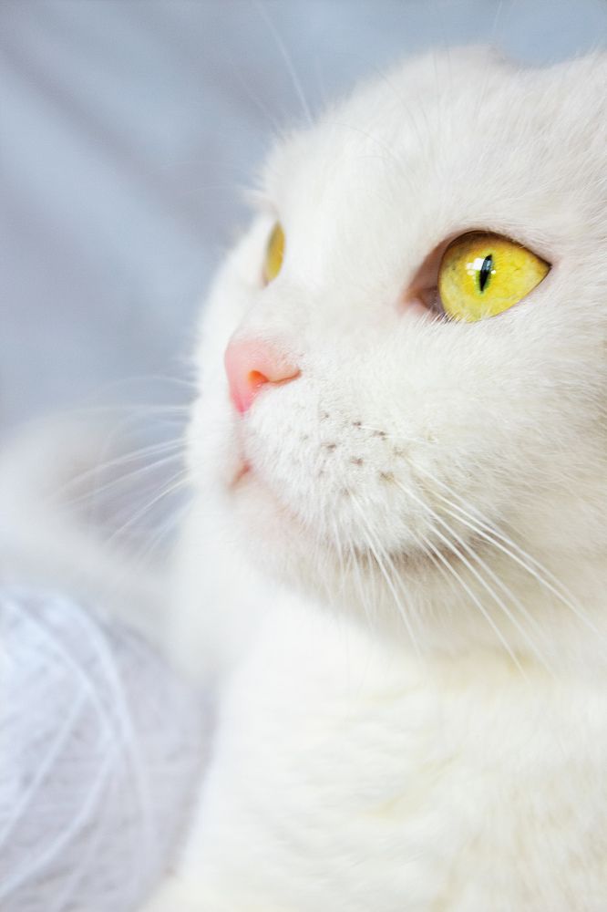 Photograph by Екатерина Николаенко