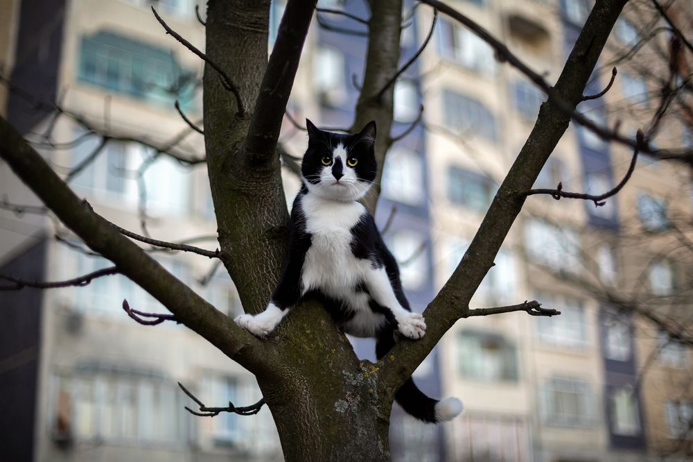 Photograph by Наталия Деркач