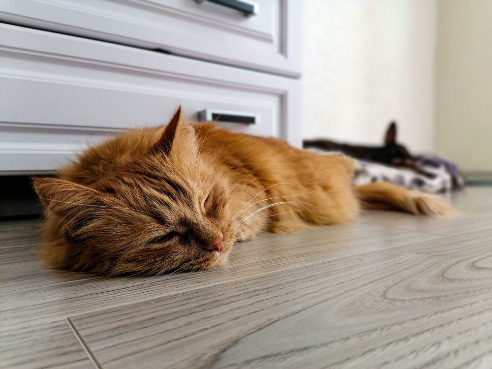 Photograph by Станислав Евсеев