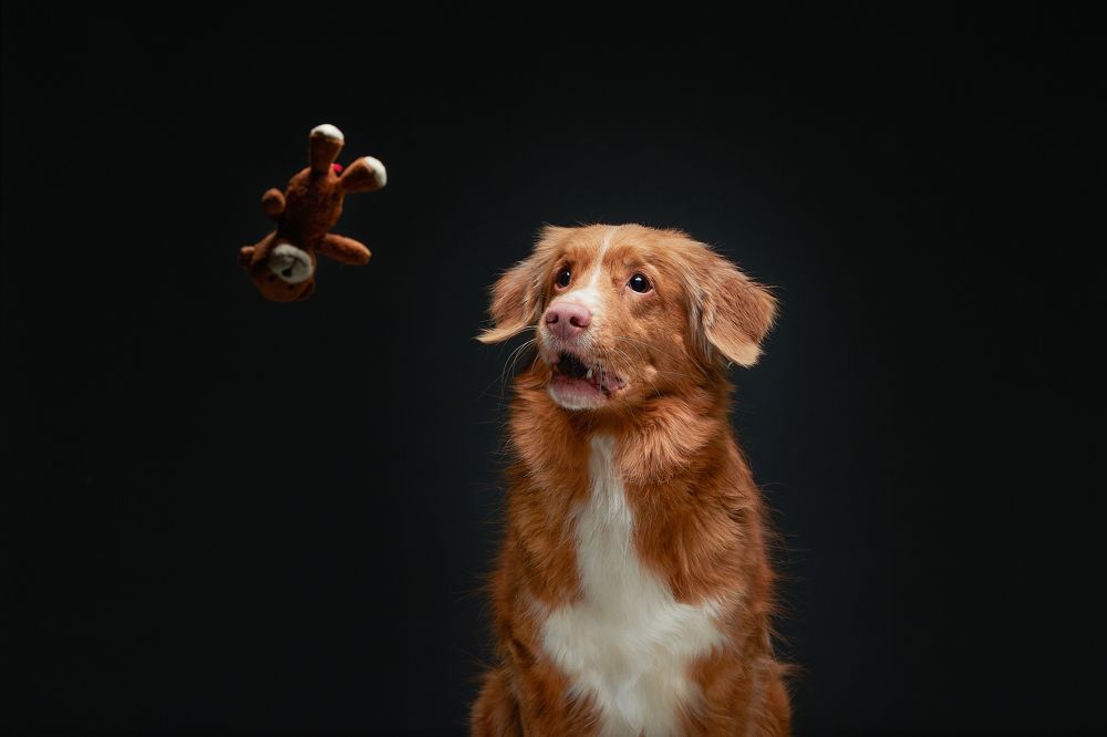 Houston, we’ve had a problem